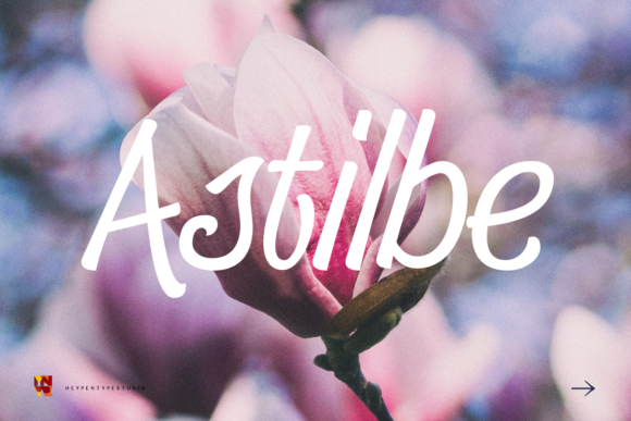 Astilbe: A Handwritten Typeface for Modern Editorial Design