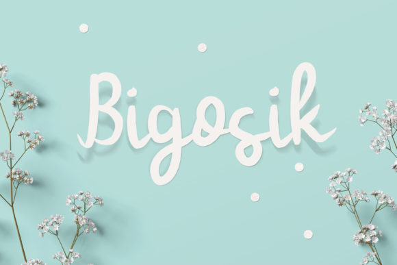 Bigosik: A Cheerful Font for Business Branding