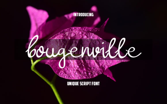 Bougenville Font: Handwritten Elegance for Web Design