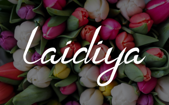 Laidiya: A Versatile Handwritten Font for Campaign Design