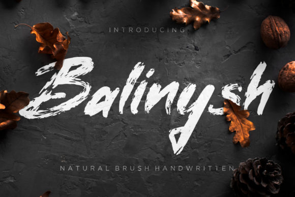 Upgrade Your Brand with Balinysh